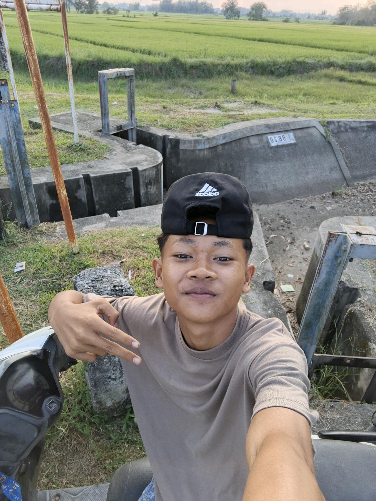 cmp_1773285404200.jpg