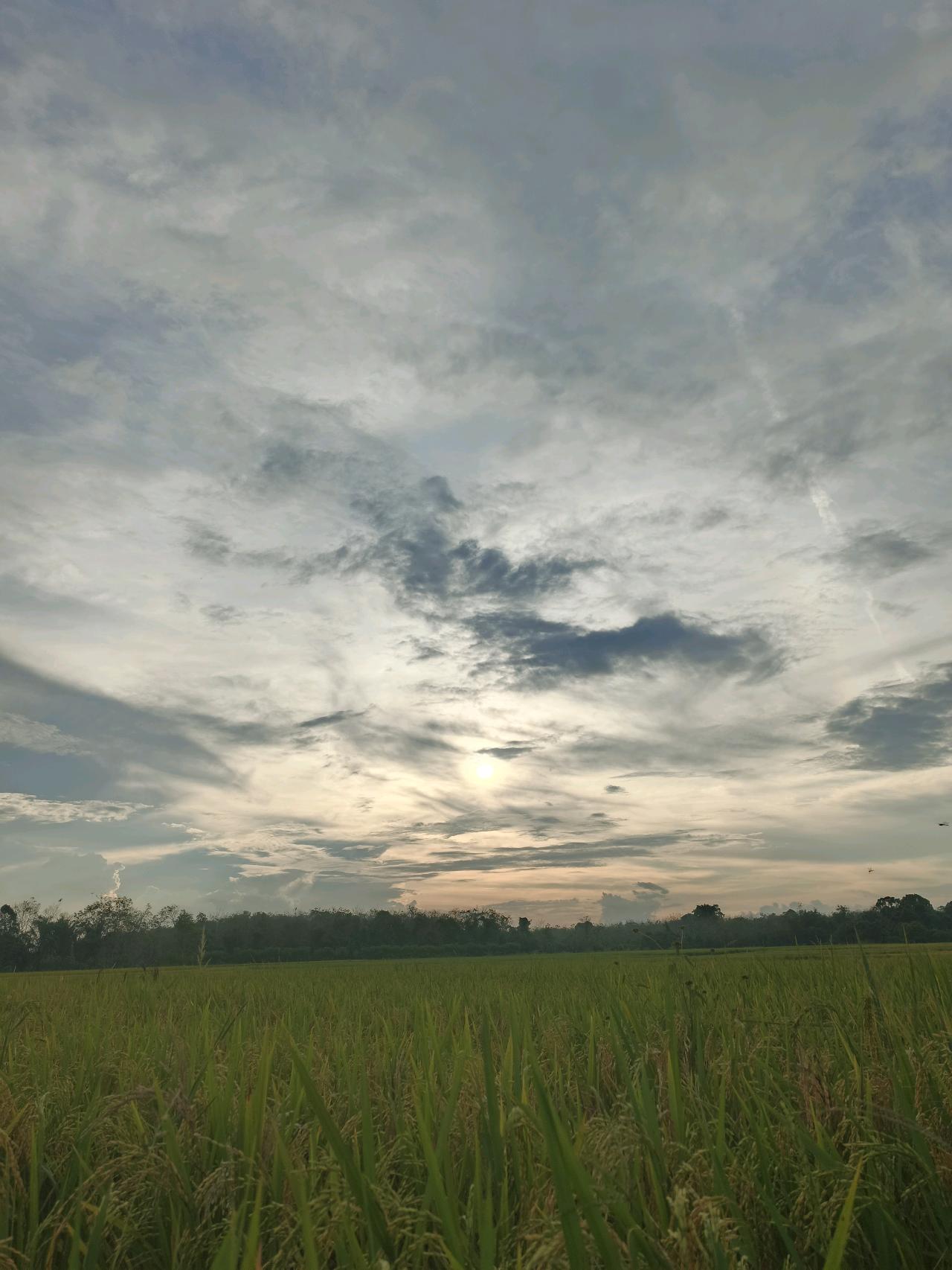 cmp_1773285481132.jpg