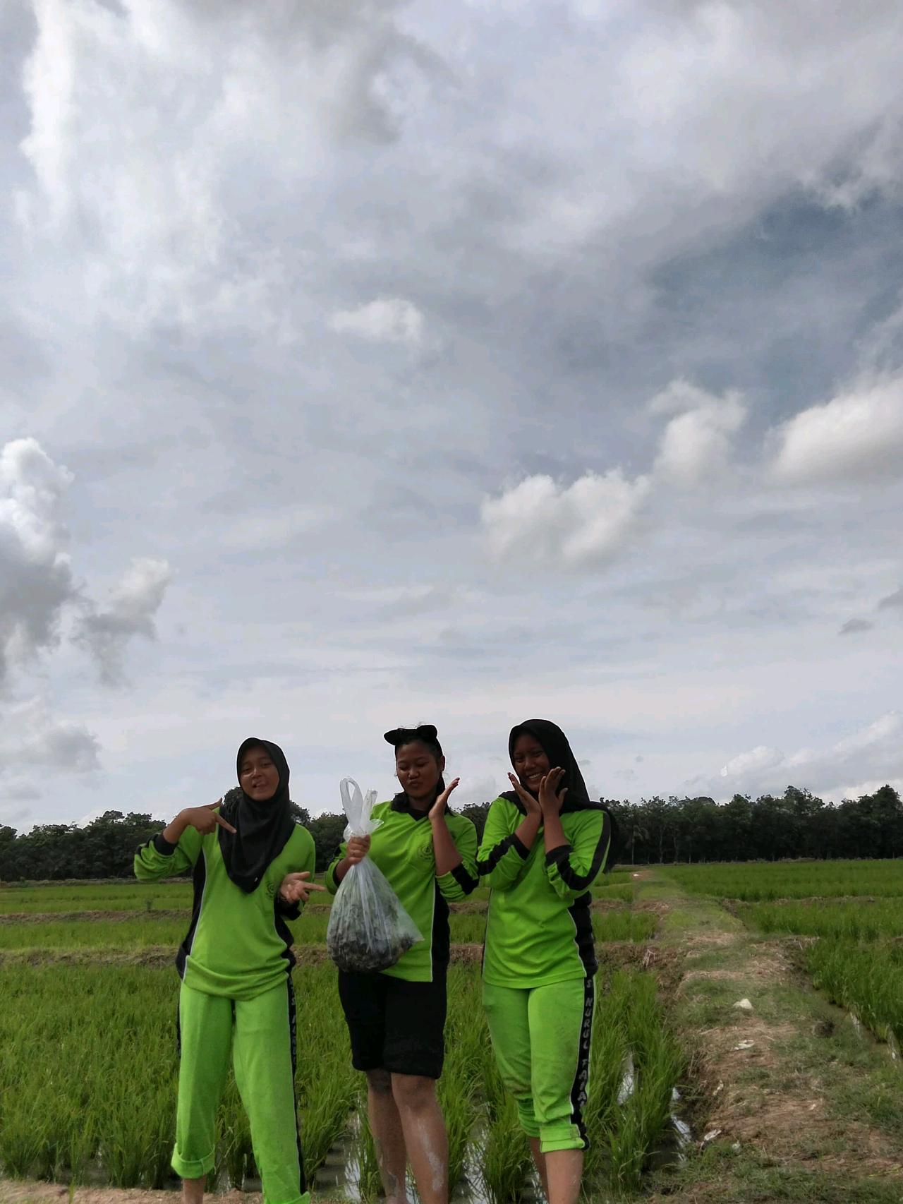 cmp_1773351031927.jpg