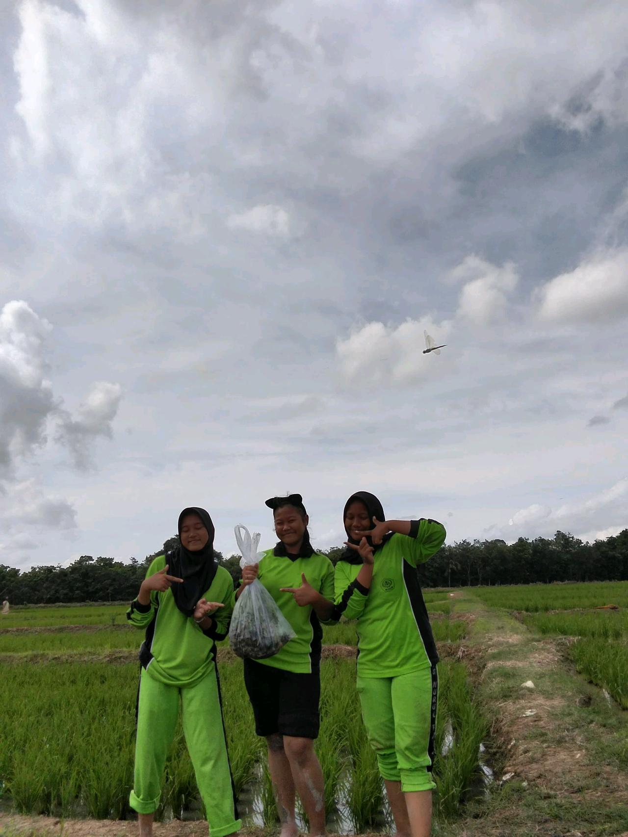 cmp_1773351035669.jpg