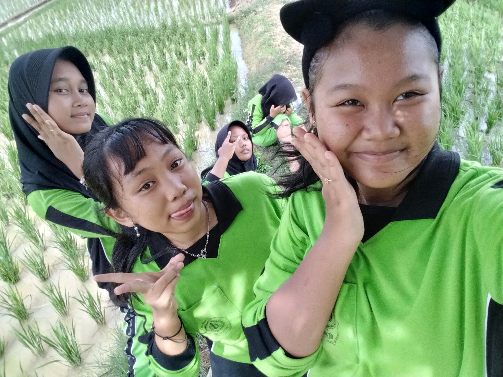 cmp_1773351039169.jpg