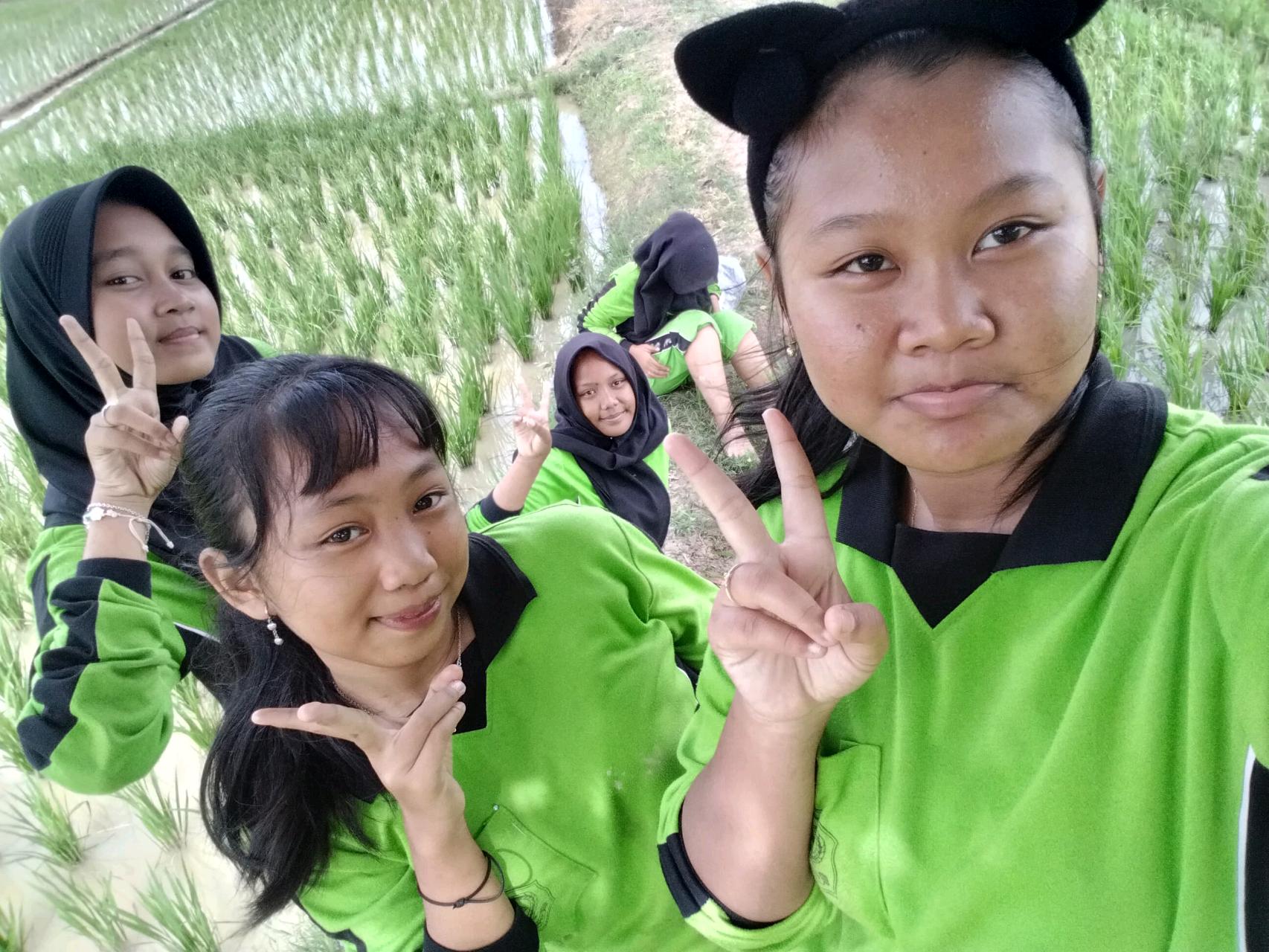 cmp_1773351043019.jpg