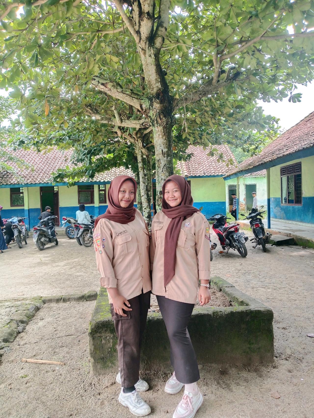 cmp_1773353201739.jpg