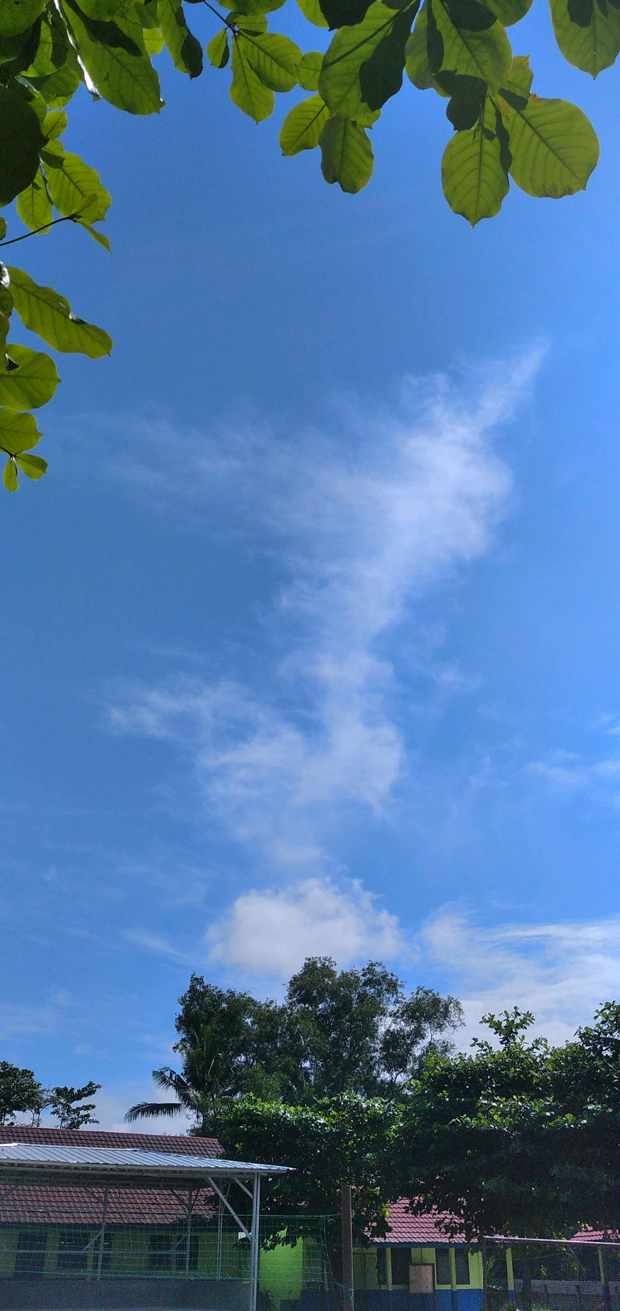 cmp_1773378527872.jpg