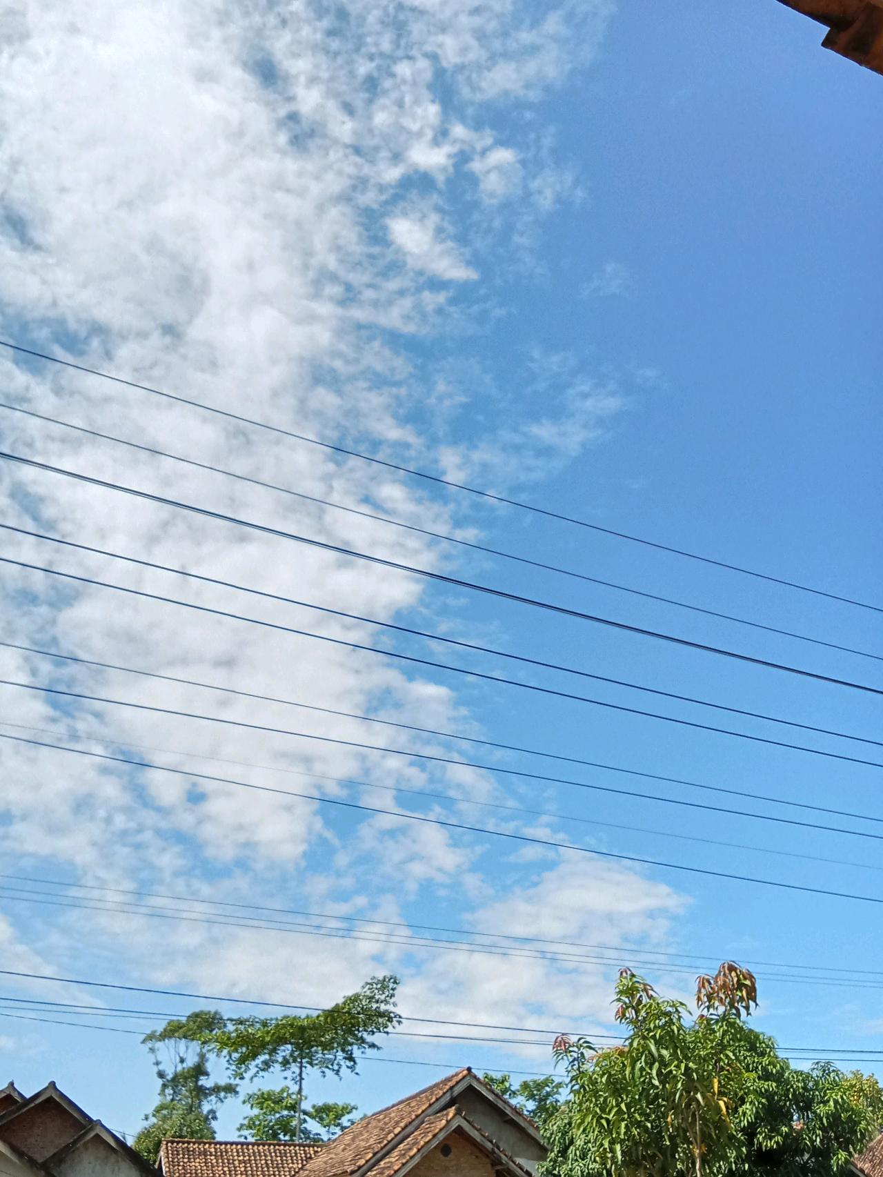 cmp_1773378536497.jpg