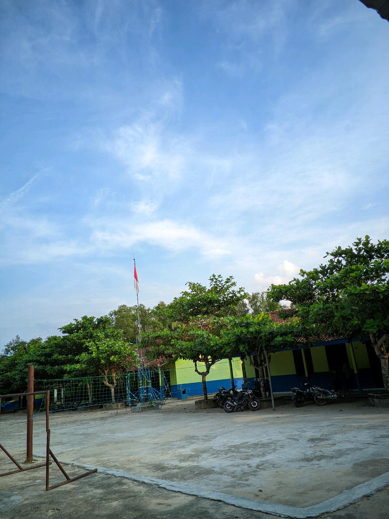 cmp_1773378554521.jpg