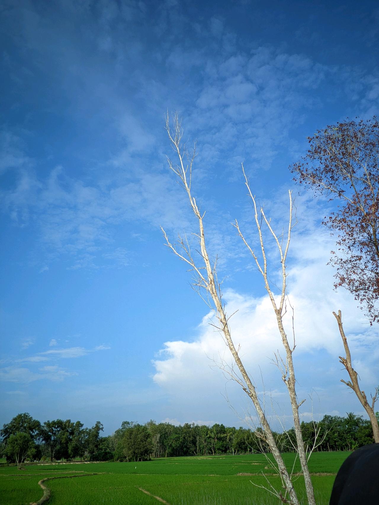 cmp_1773378703878.jpg