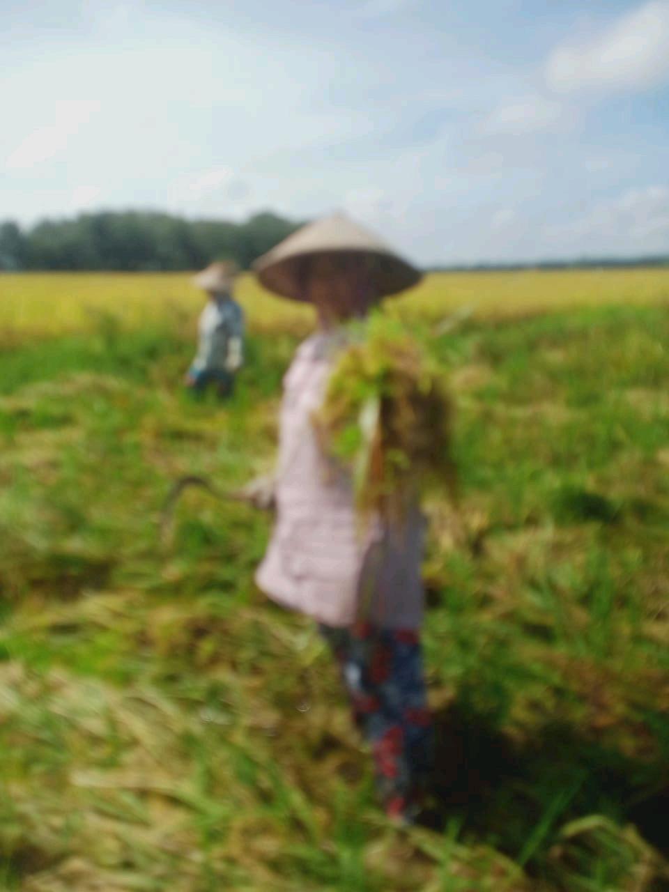 cmp_1773478857692.jpg