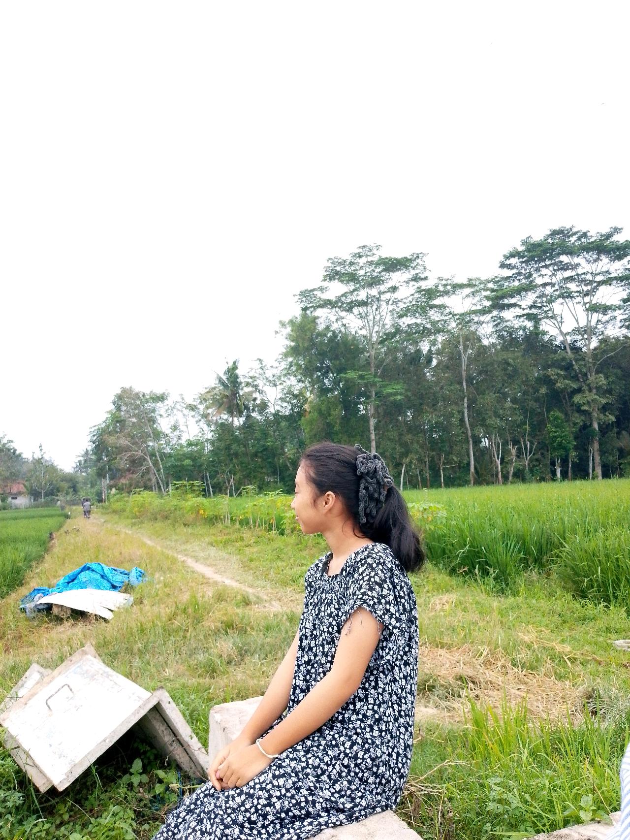 cmp_1773497343275.jpg