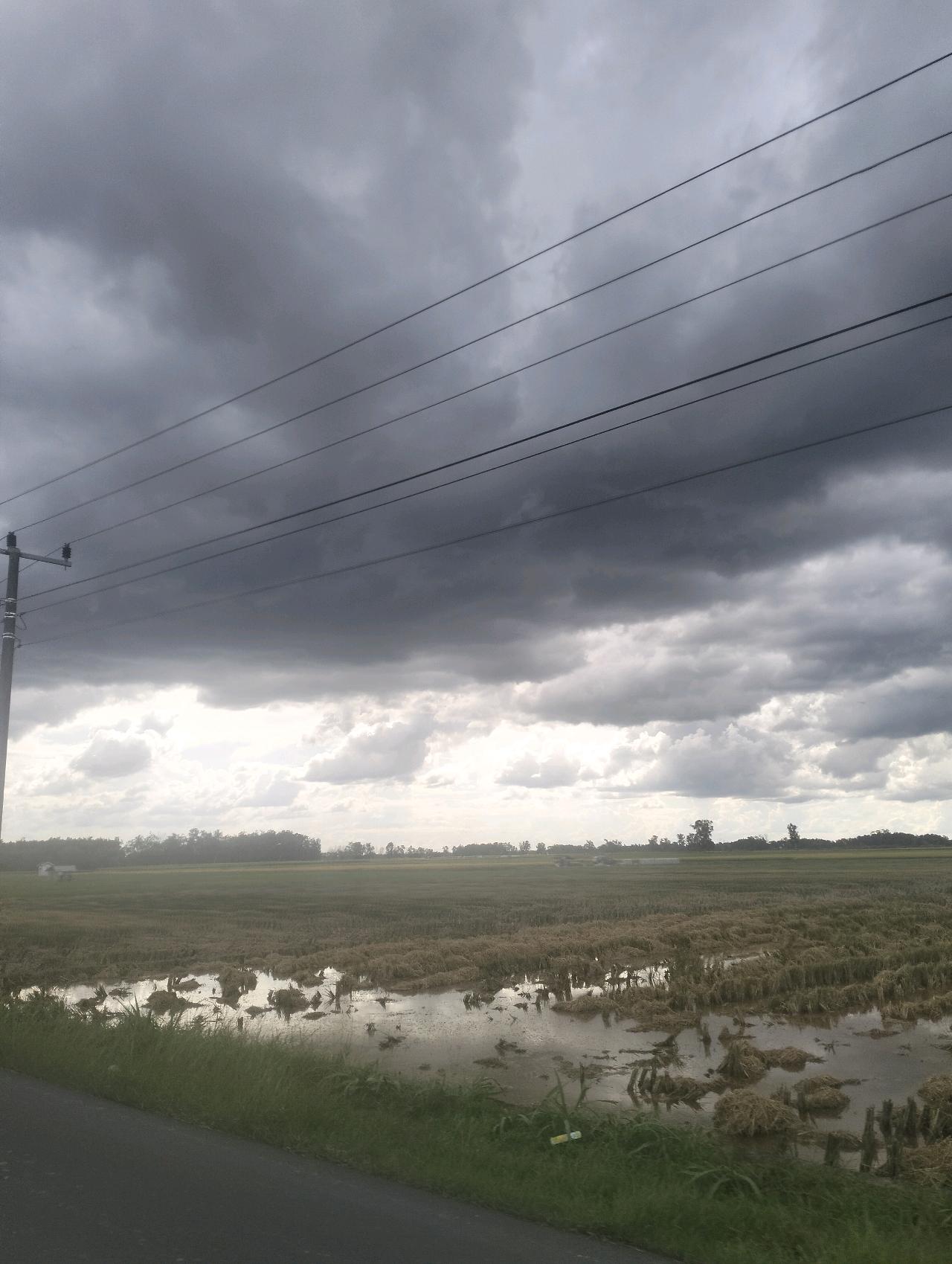 cmp_1773524858579.jpg