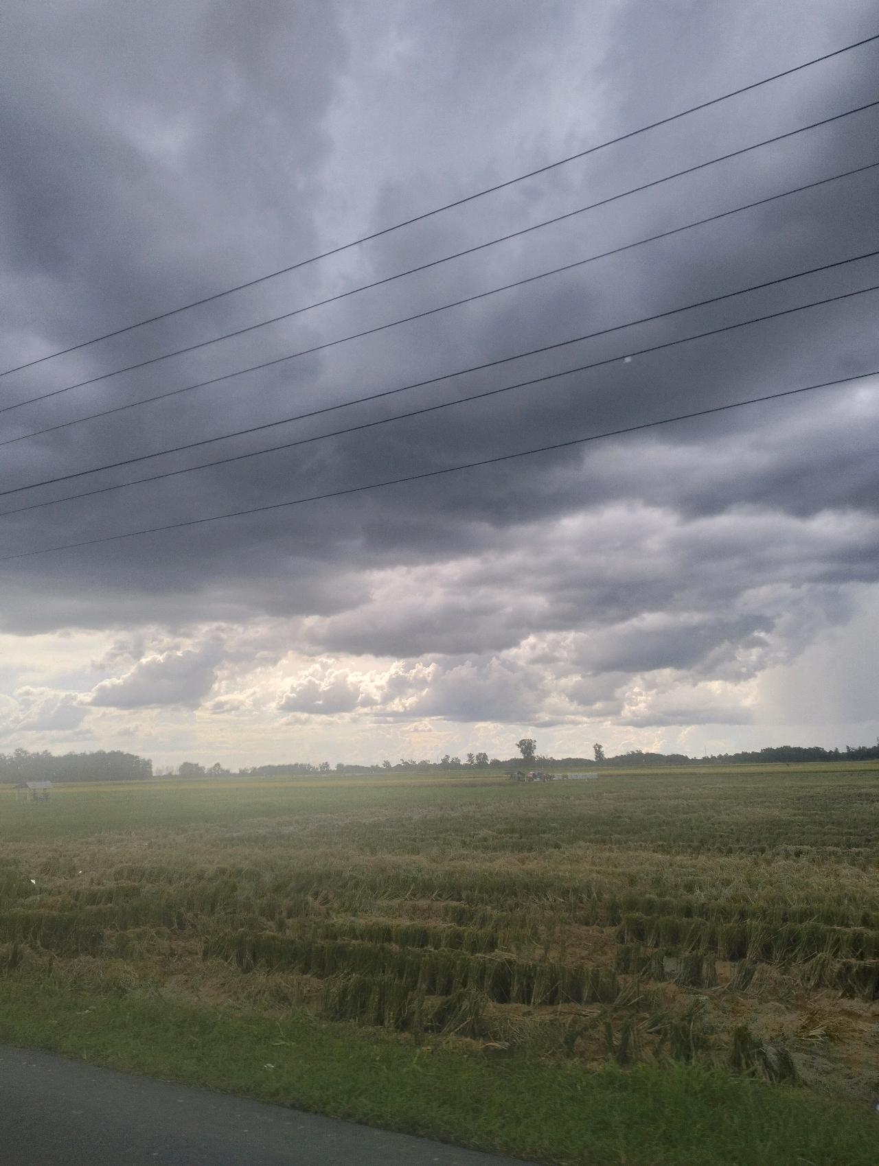 cmp_1773524863370.jpg
