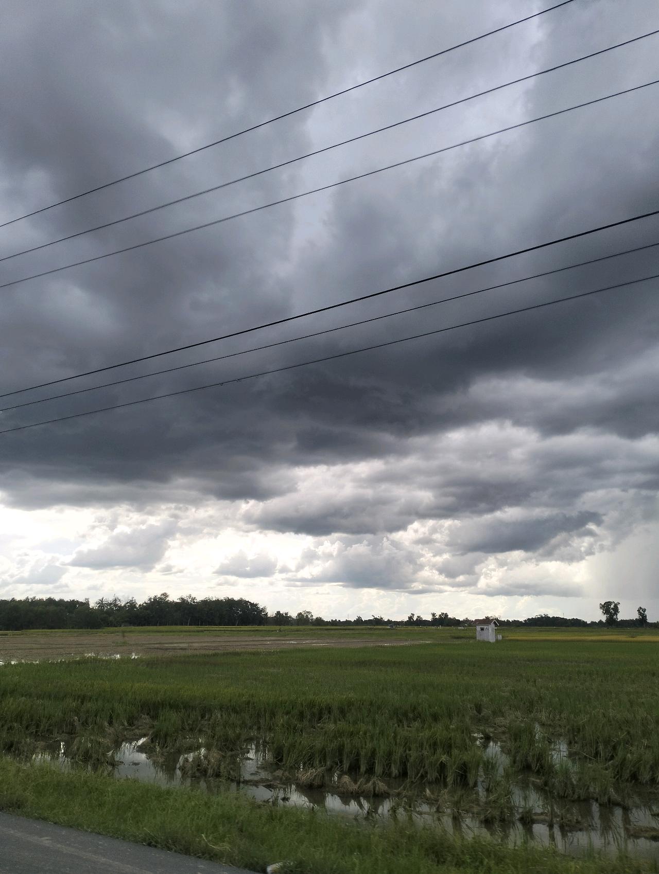 cmp_1773524867803.jpg