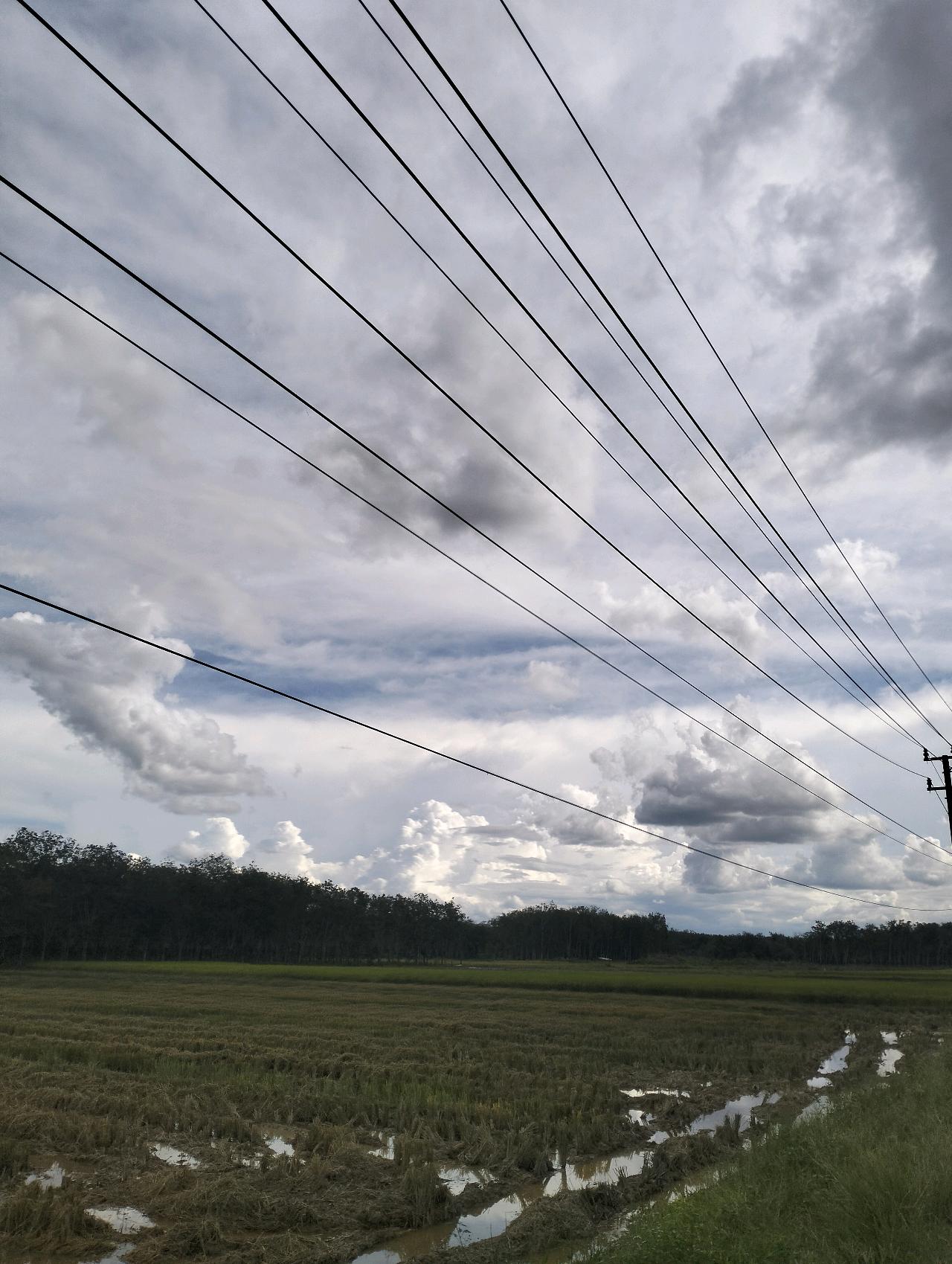 cmp_1773524872452.jpg