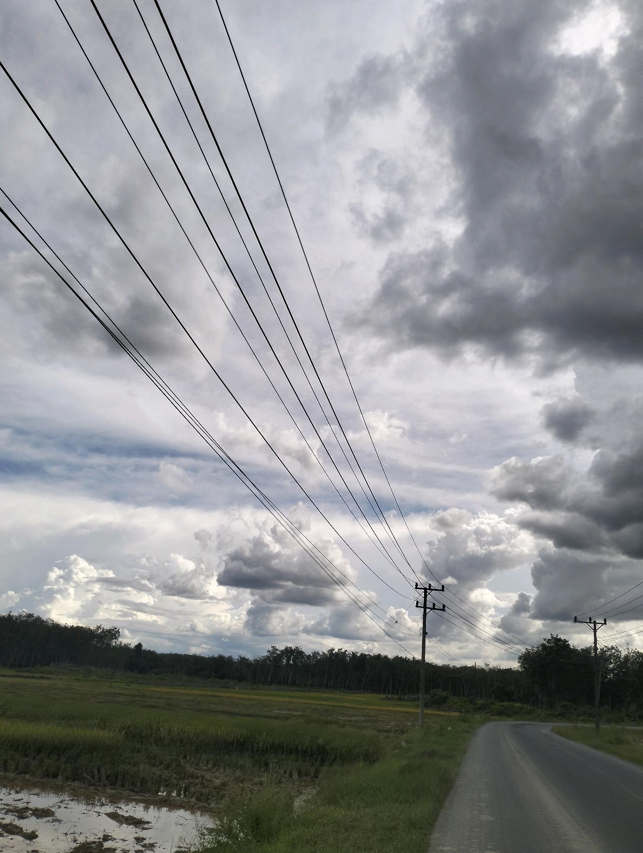 cmp_1773524881311.jpg