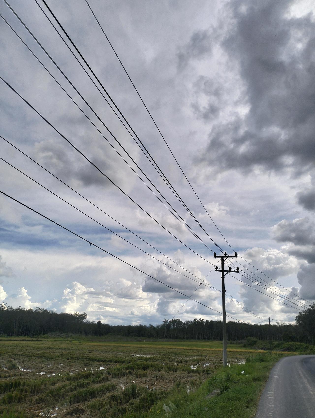 cmp_1773524886173.jpg