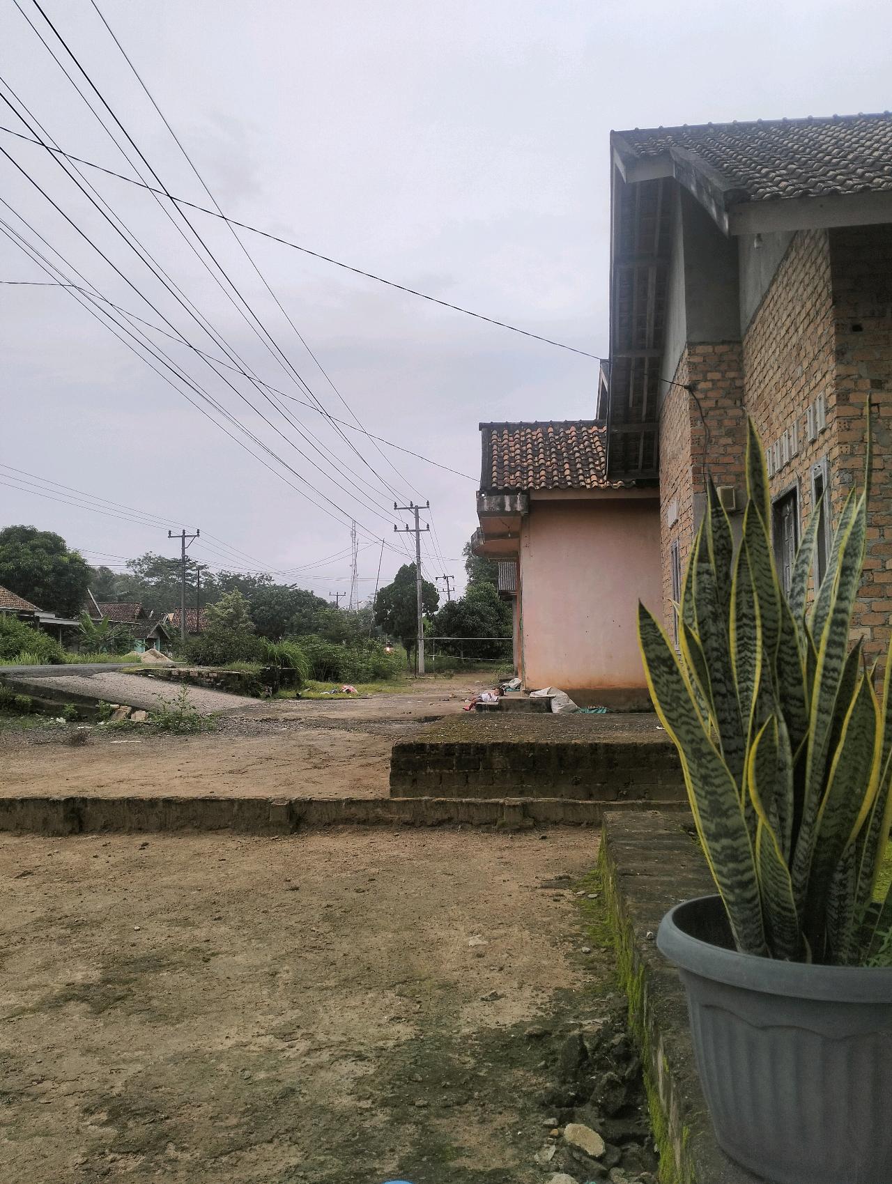 cmp_1773545476248.jpg