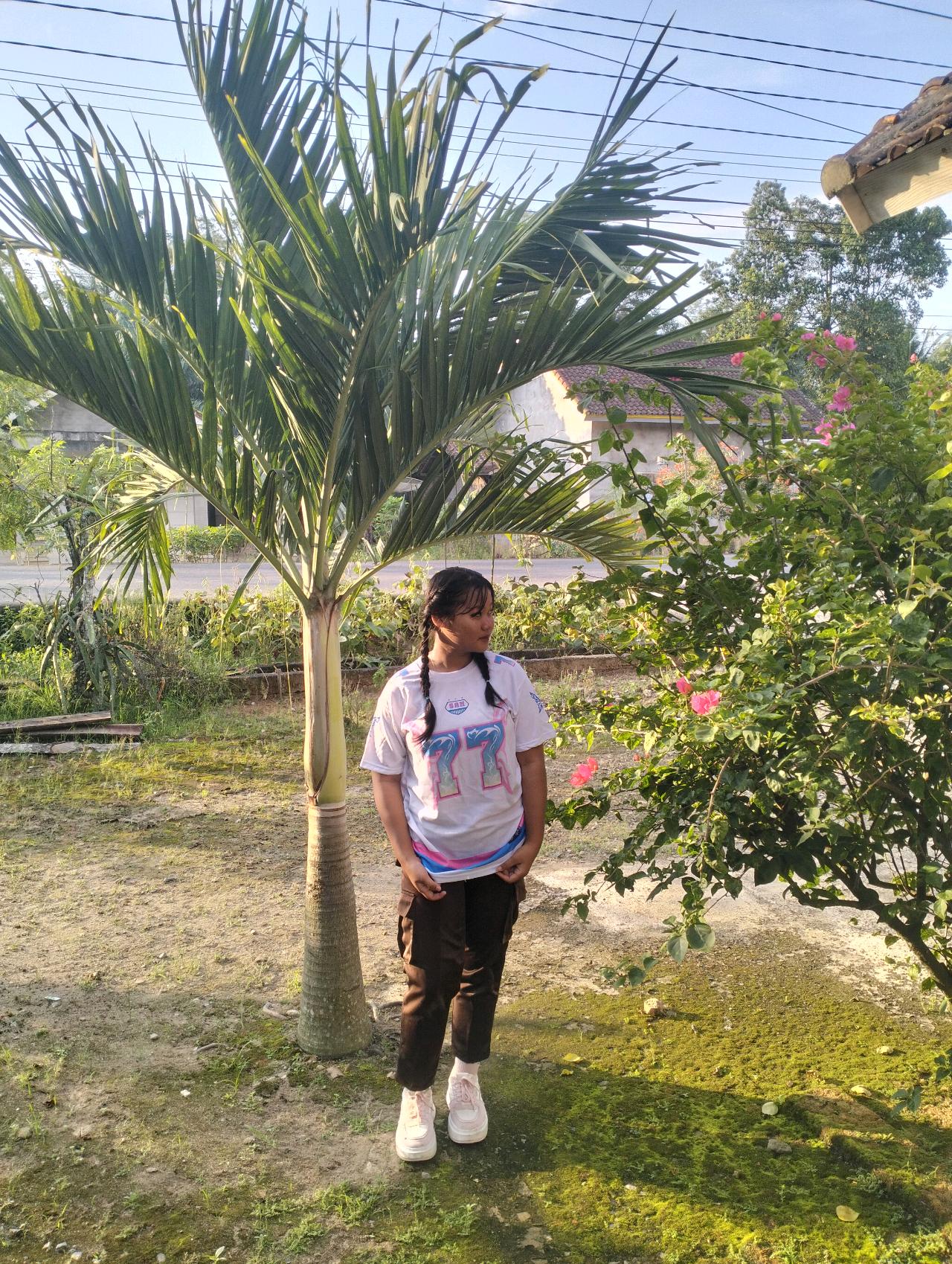 cmp_1773563553075.jpg