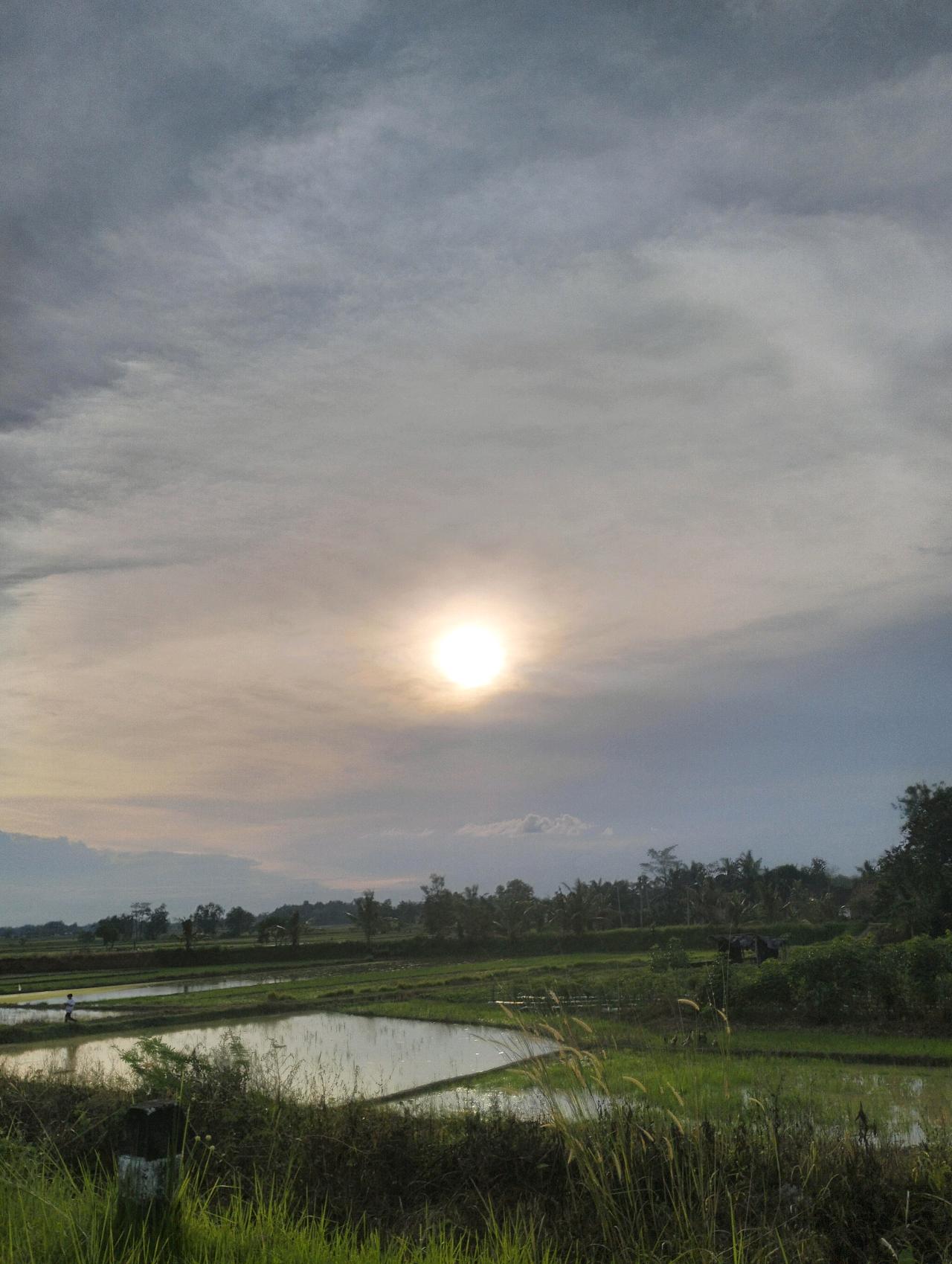 cmp_1773566702359.jpg