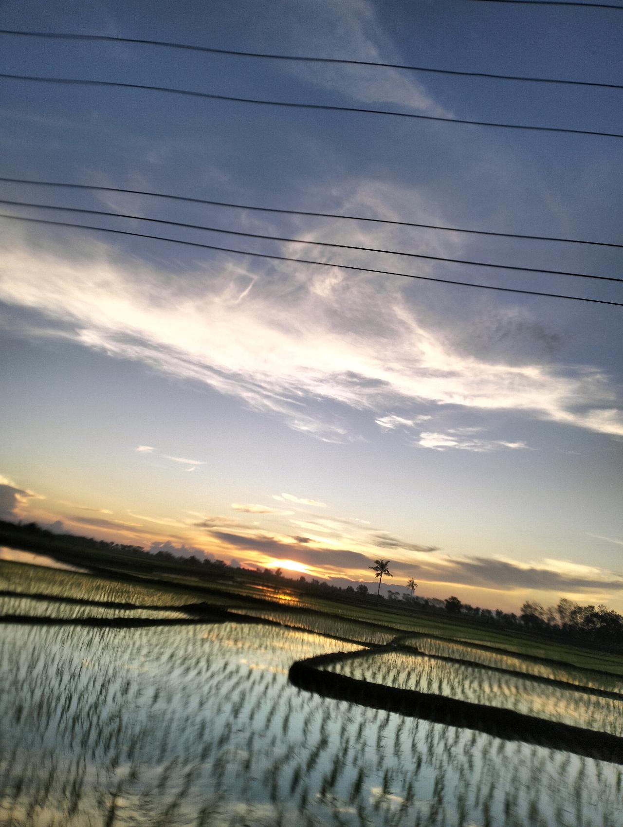 cmp_1773568528487.jpg