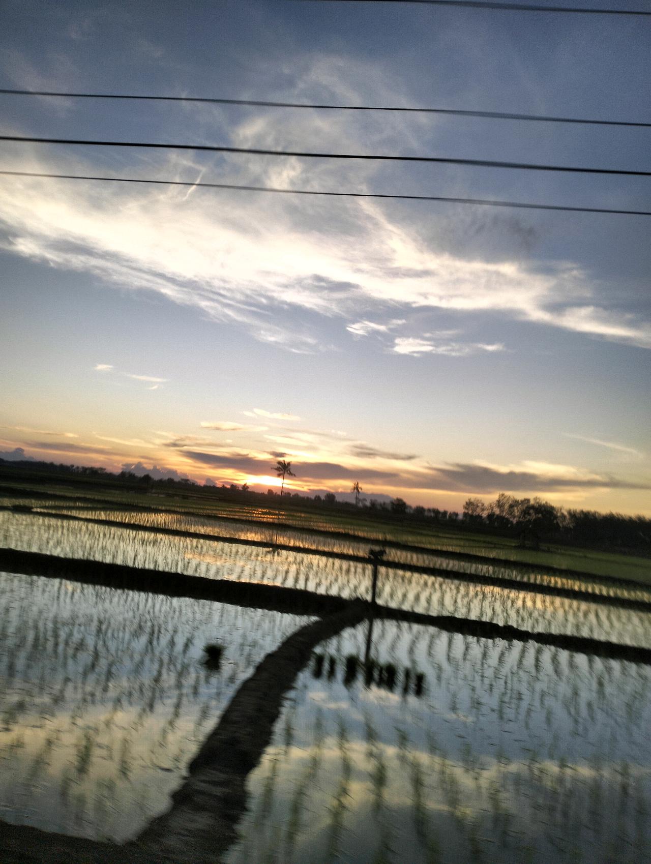 cmp_1773568541776.jpg