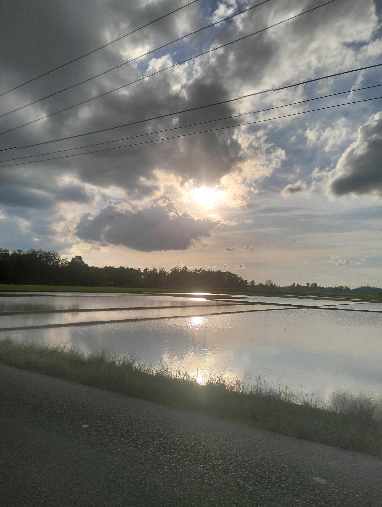 cmp_1773569668119.jpg