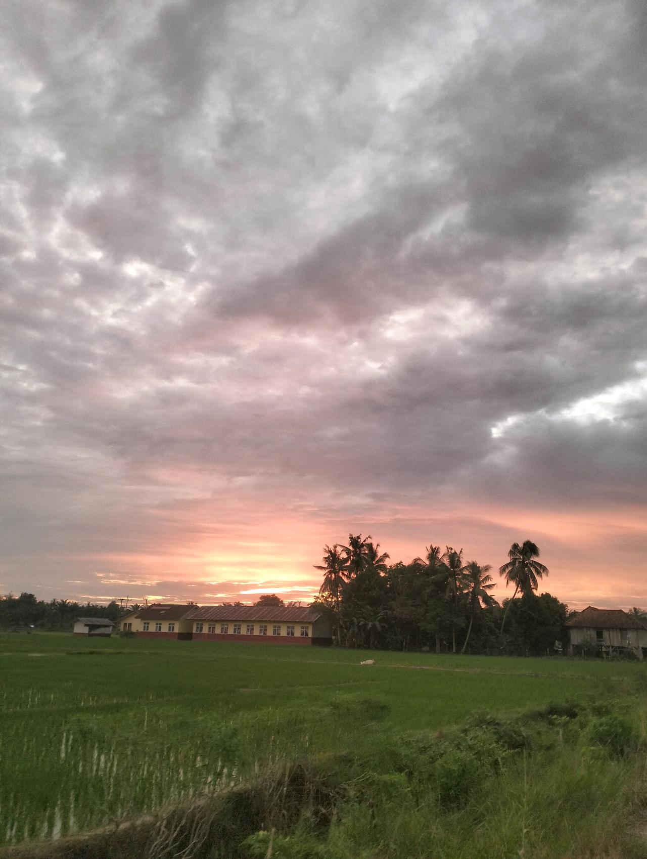 cmp_1773570929440.jpg