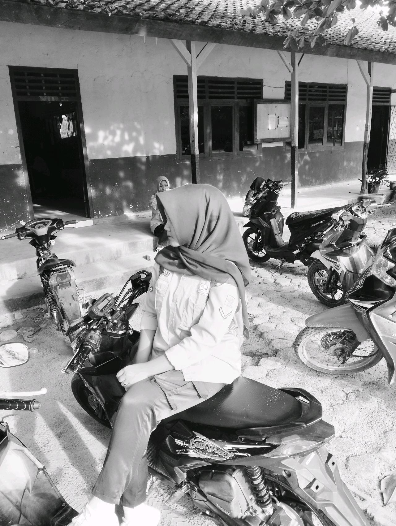 cmp_1773591707222.jpg