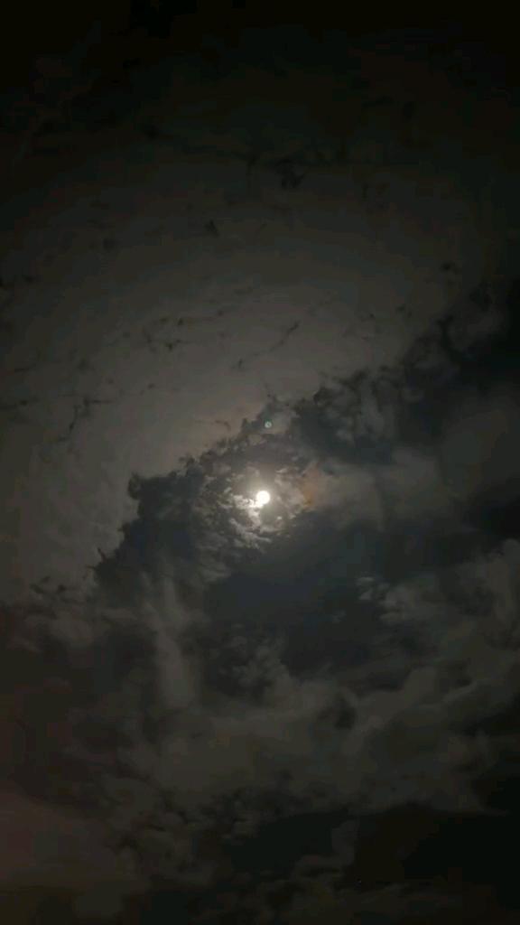 cmp_1773592100902.jpg