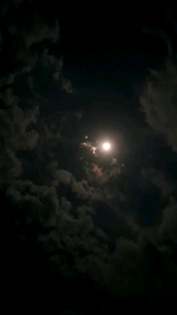 cmp_1773592104208.jpg