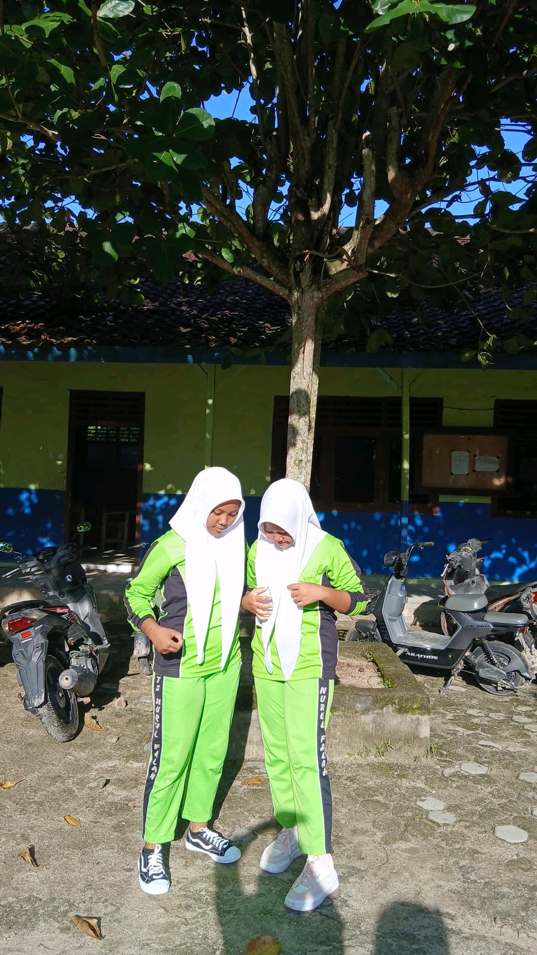 cmp_1773613814601.jpg