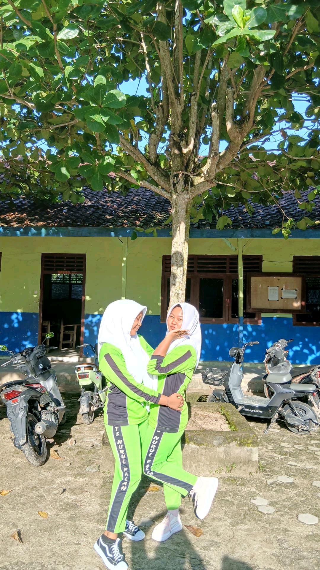 cmp_1773613830256.jpg