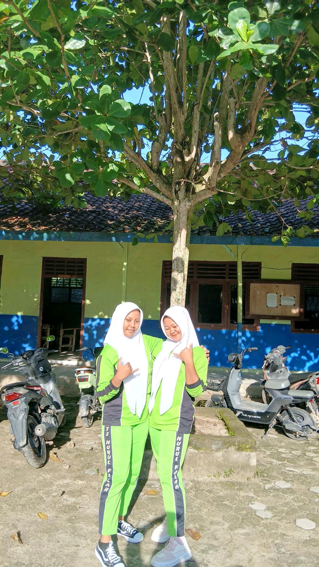 cmp_1773613837090.jpg