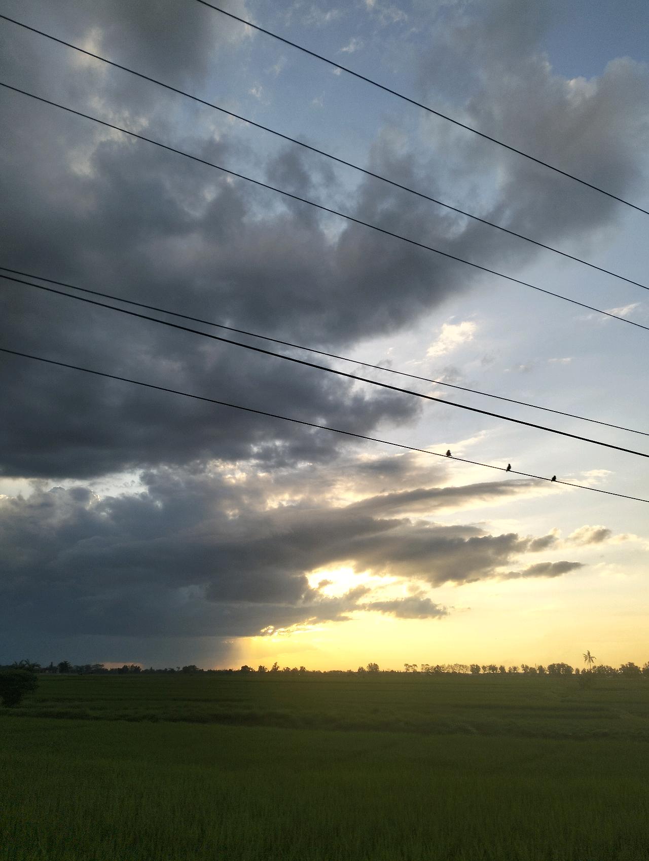 cmp_1773657083927.jpg