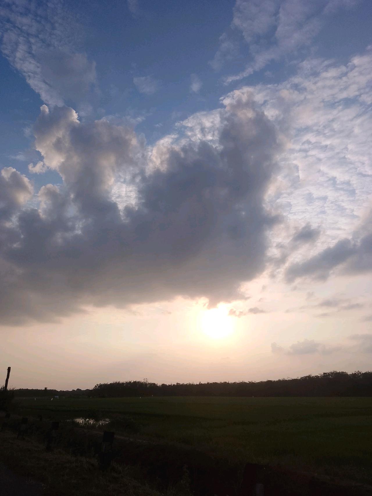 cmp_1773720692518.jpg