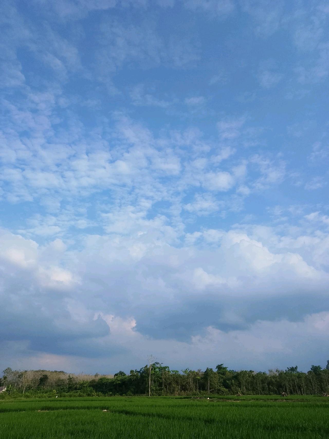 cmp_1773720697807.jpg