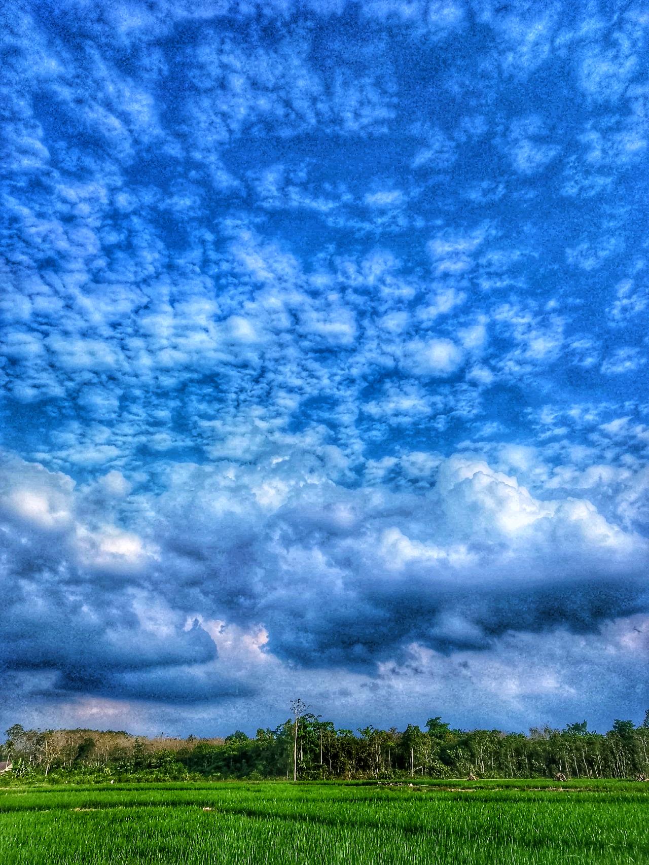 cmp_1773720707706.jpg