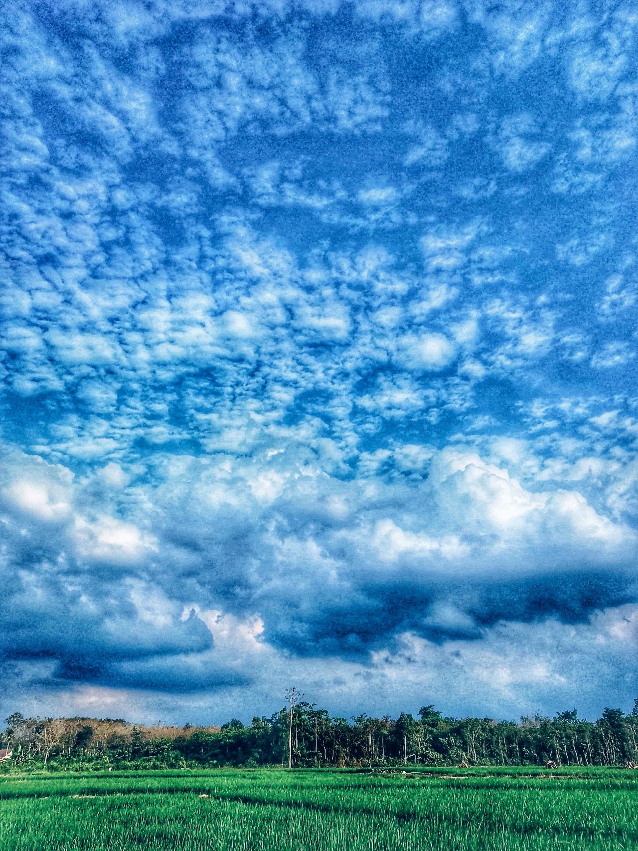 cmp_1773720712606.jpg