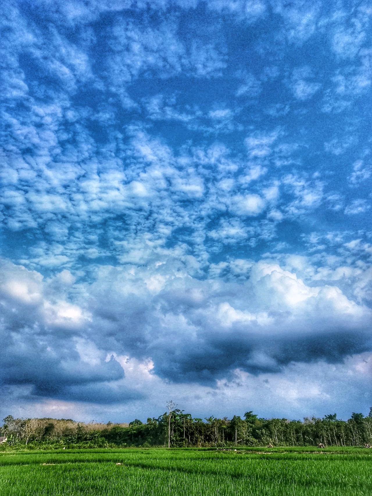 cmp_1773721675782.jpg