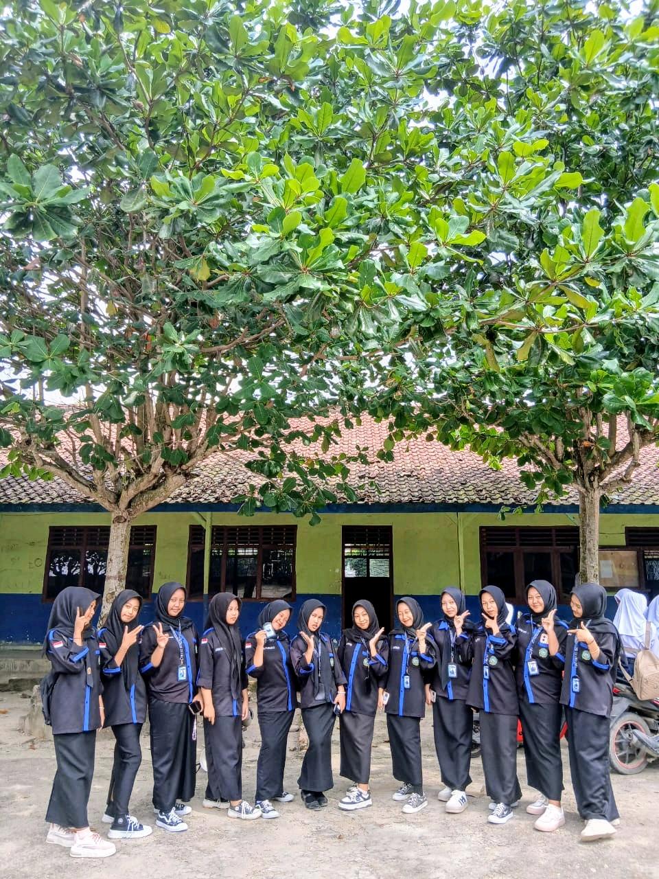 cmp_1773751149461.jpg
