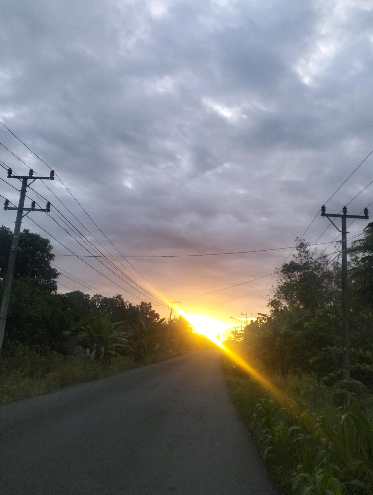 cmp_1773751260890.jpg