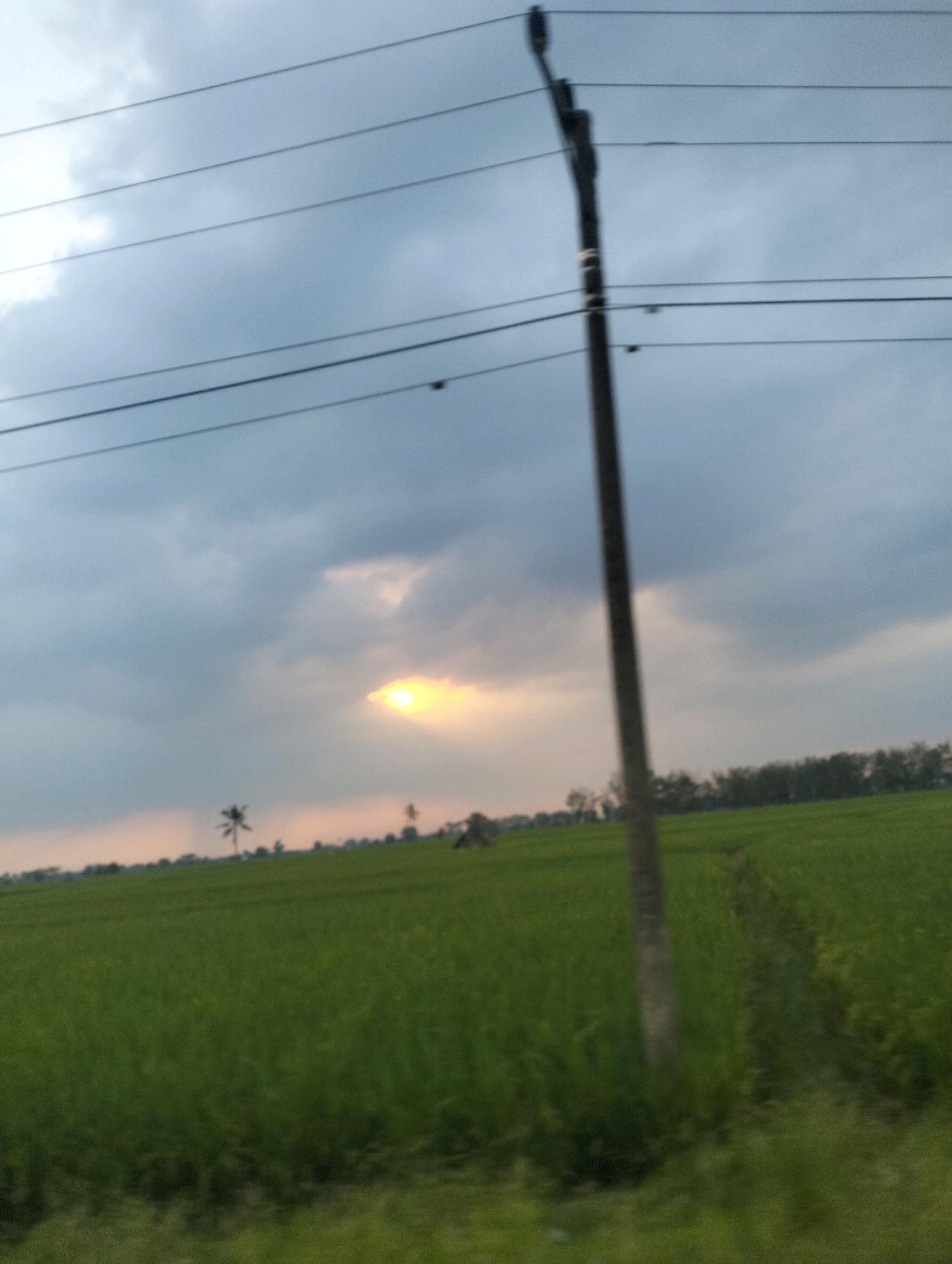 cmp_1773753151270.jpg