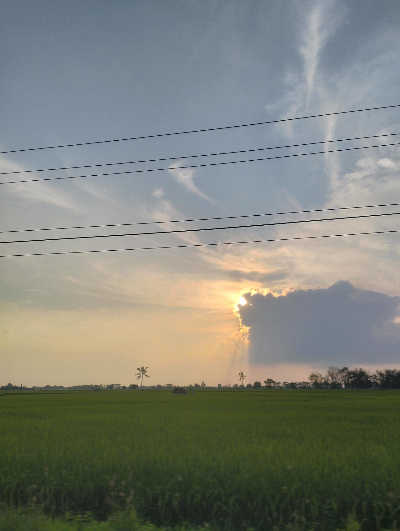cmp_1773753192224.jpg