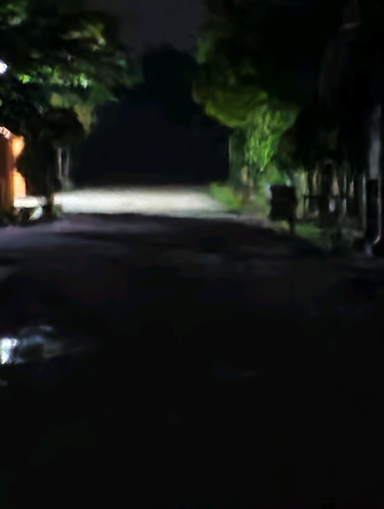 cmp_1773753406342.jpg