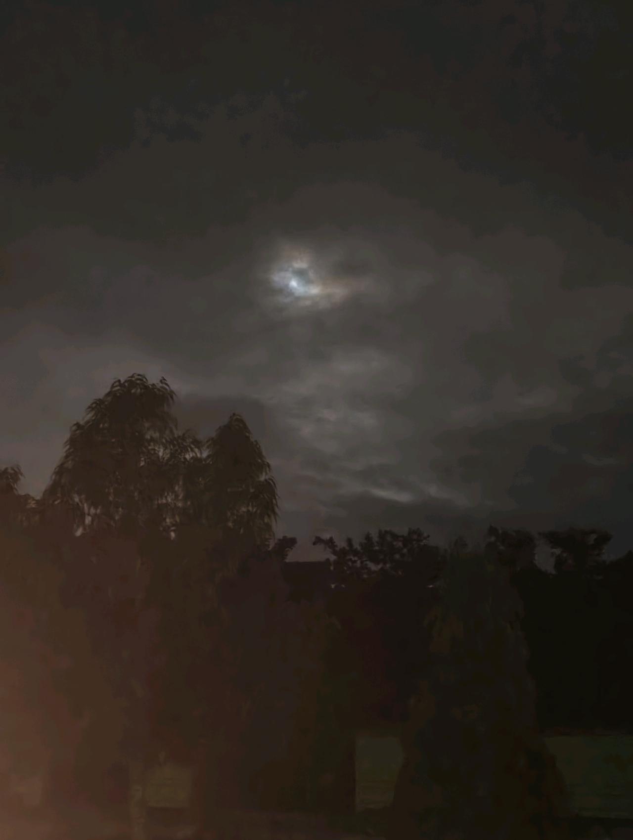 cmp_1773753444874.jpg