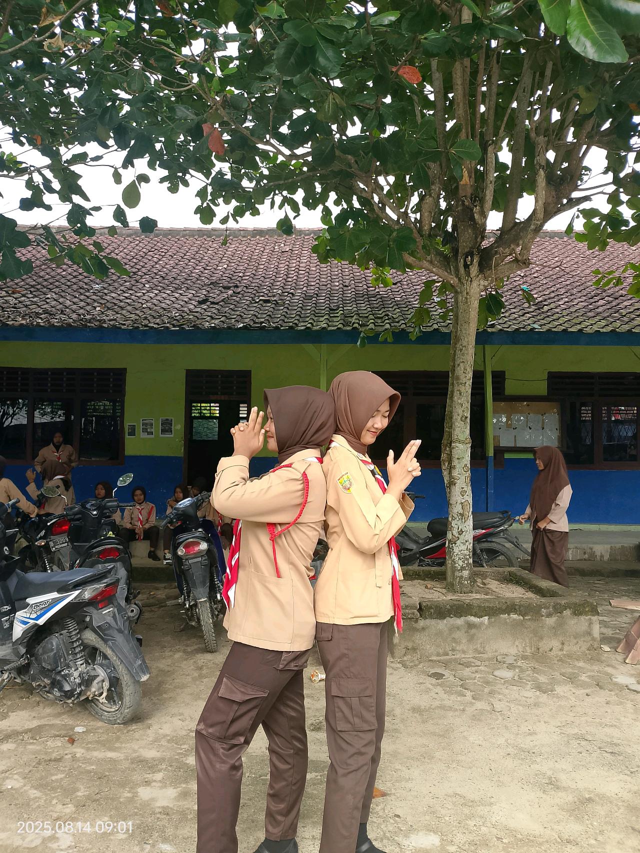 cmp_1773783704439.jpg