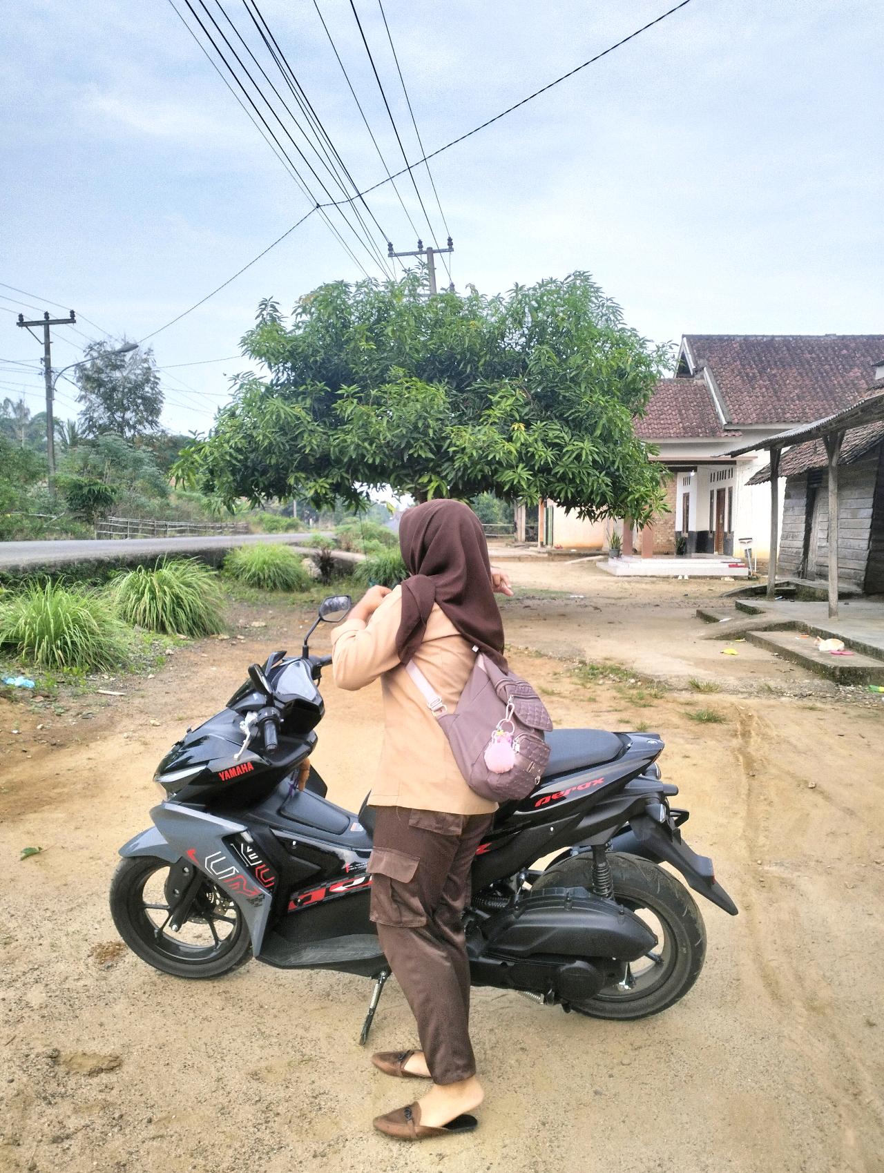 cmp_1773798335342.jpg