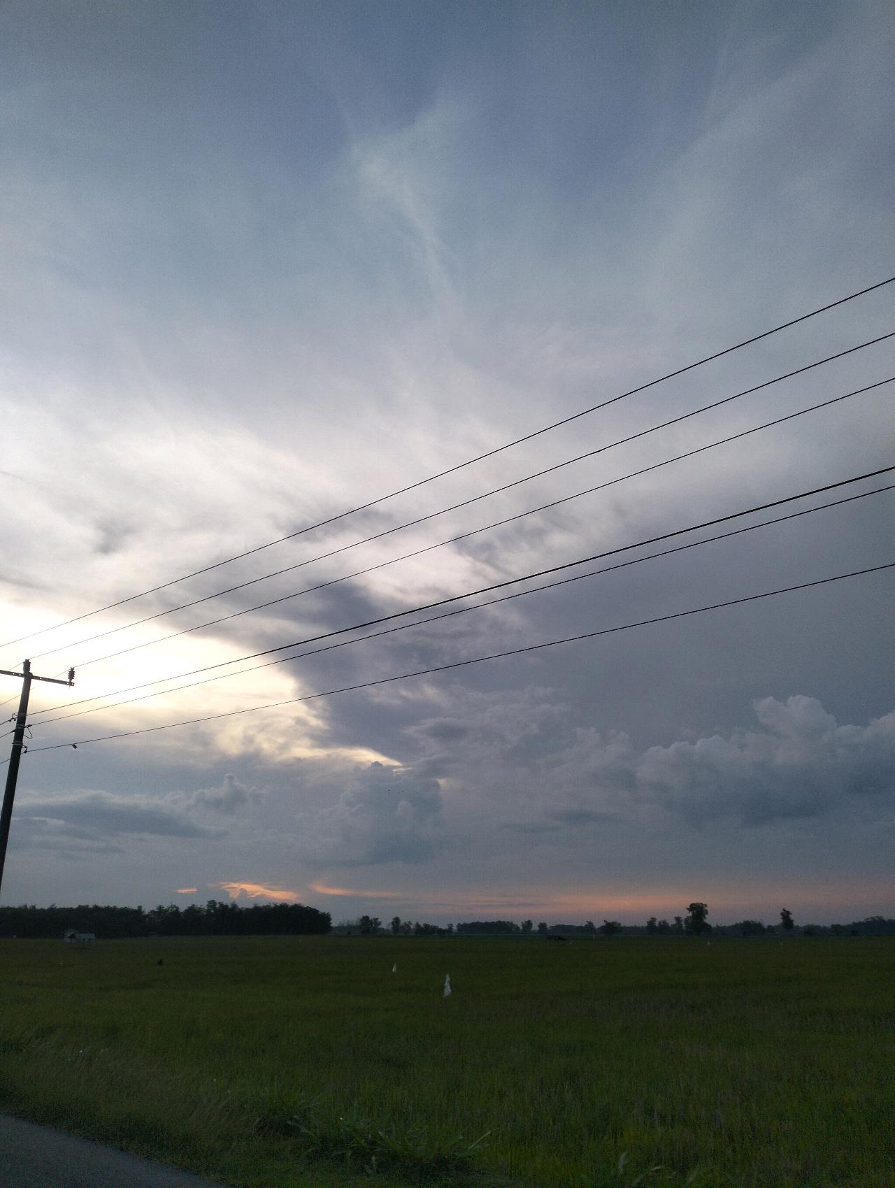 cmp_1773823586898.jpg