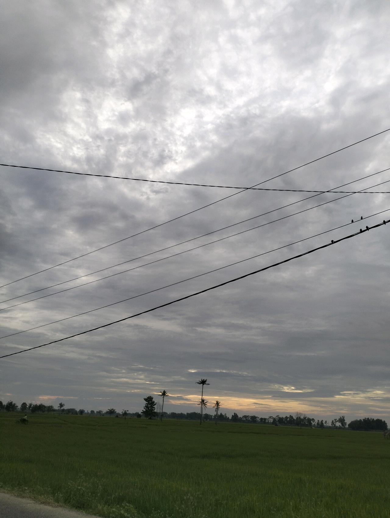 cmp_1773826091009.jpg
