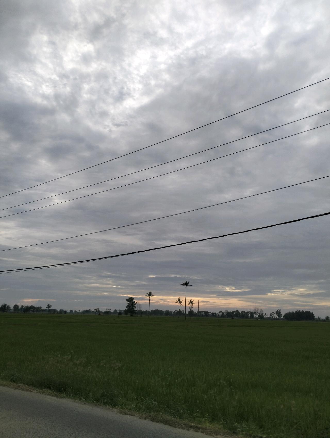 cmp_1773826096784.jpg