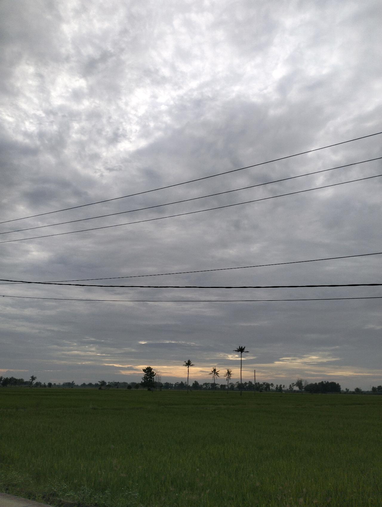 cmp_1773826102912.jpg